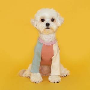 플로트 콤비티셔츠 강아지옷 핑크